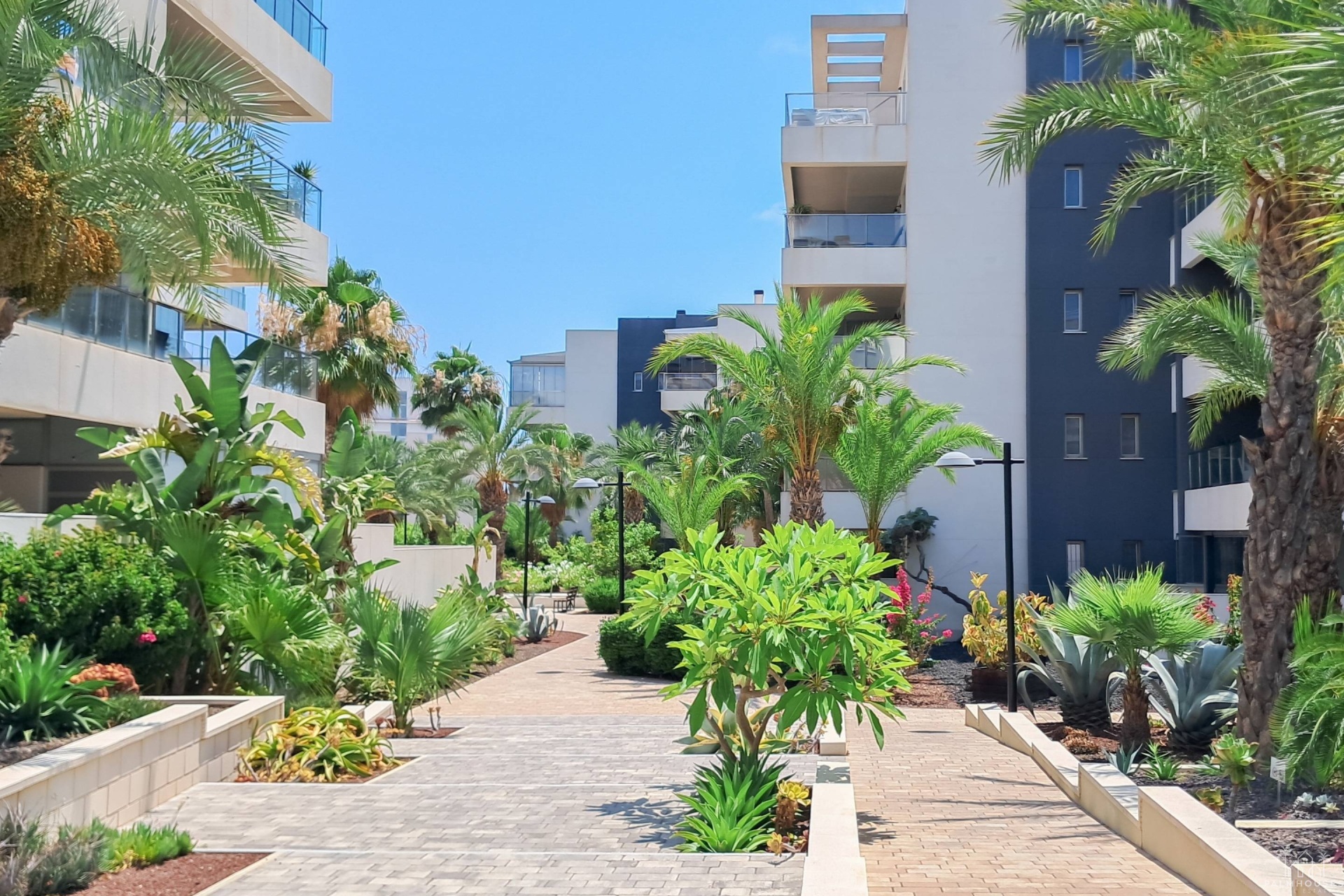 Herverkoop - Appartement - Orihuela Costa - Los Dolses