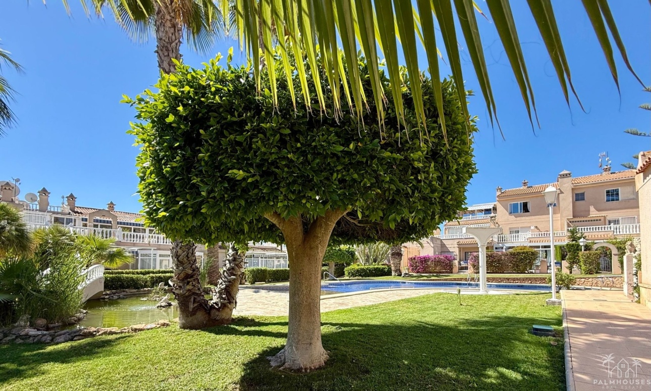 Herverkoop - Appartement - Orihuela Costa - Playa Flamenca