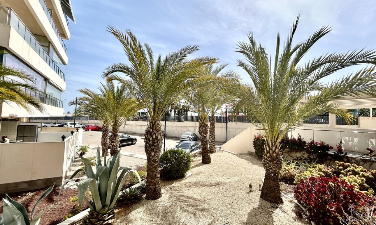 Herverkoop - Appartement - Orihuela - Los Dolses