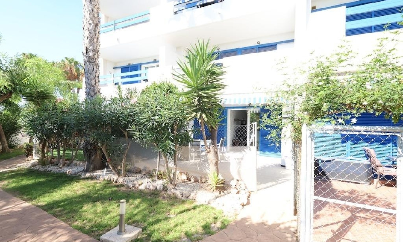 Herverkoop - Appartement - Orihuela - Orihuela Costa