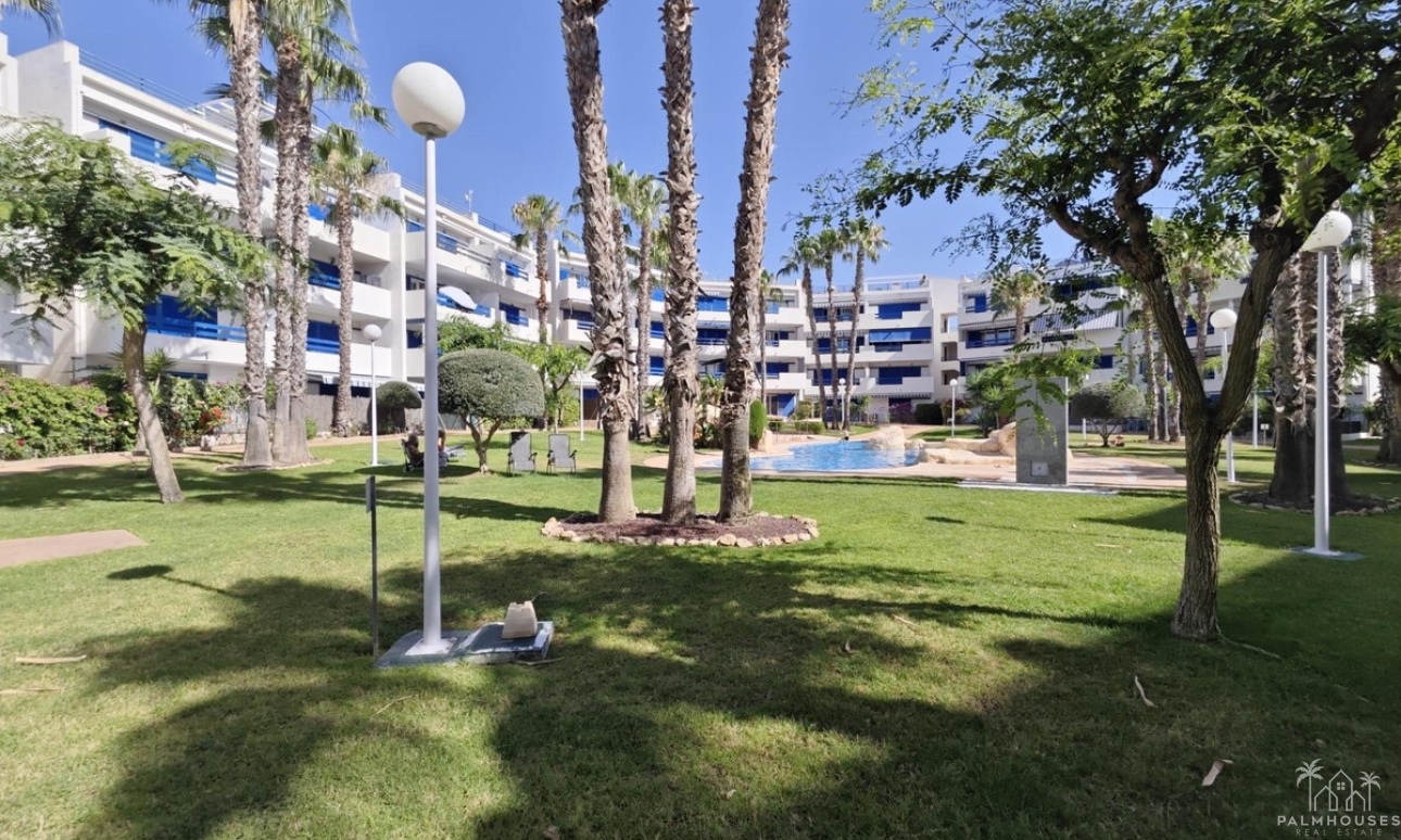 Herverkoop - Appartement - Orihuela - Playa Flamenca