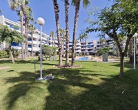 Herverkoop - Appartement - Orihuela - Playa Flamenca