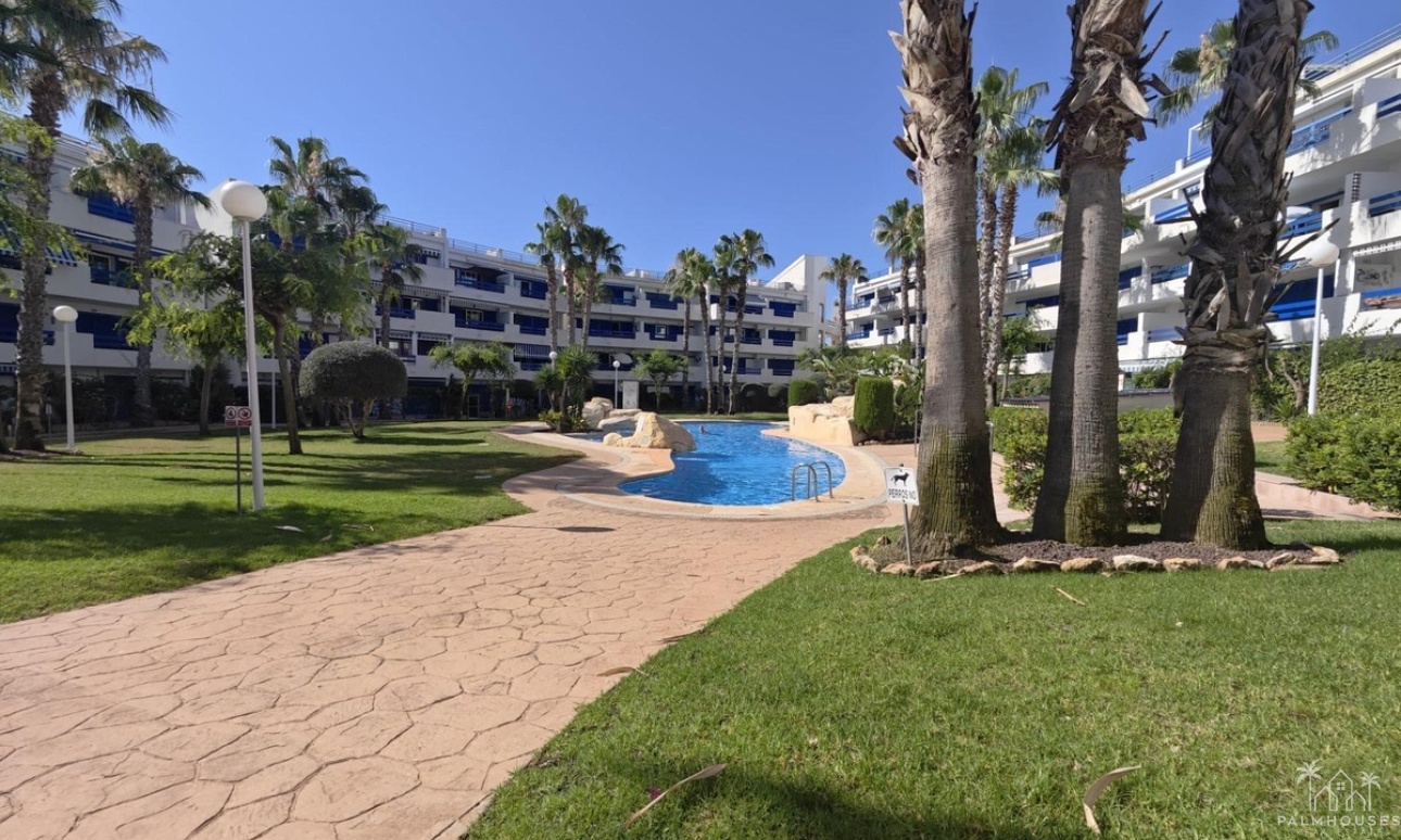 Herverkoop - Appartement - Orihuela - Playa Flamenca