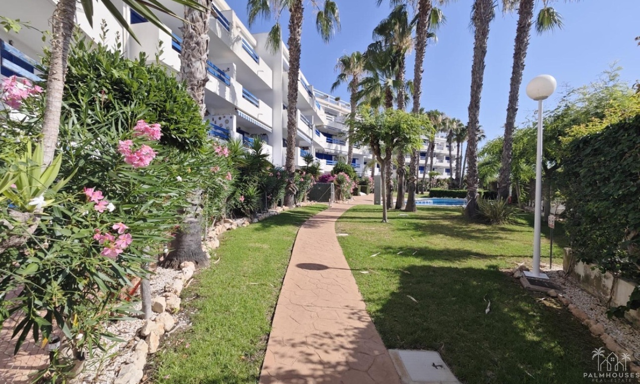 Herverkoop - Appartement - Orihuela - Playa Flamenca