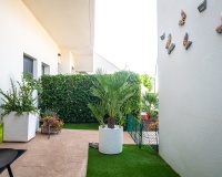 Herverkoop - Appartement - Pilar de La Horadada - Costa Blanca