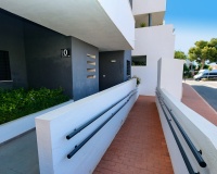 Herverkoop - Appartement - Playa Flamenca - Costa Blanca