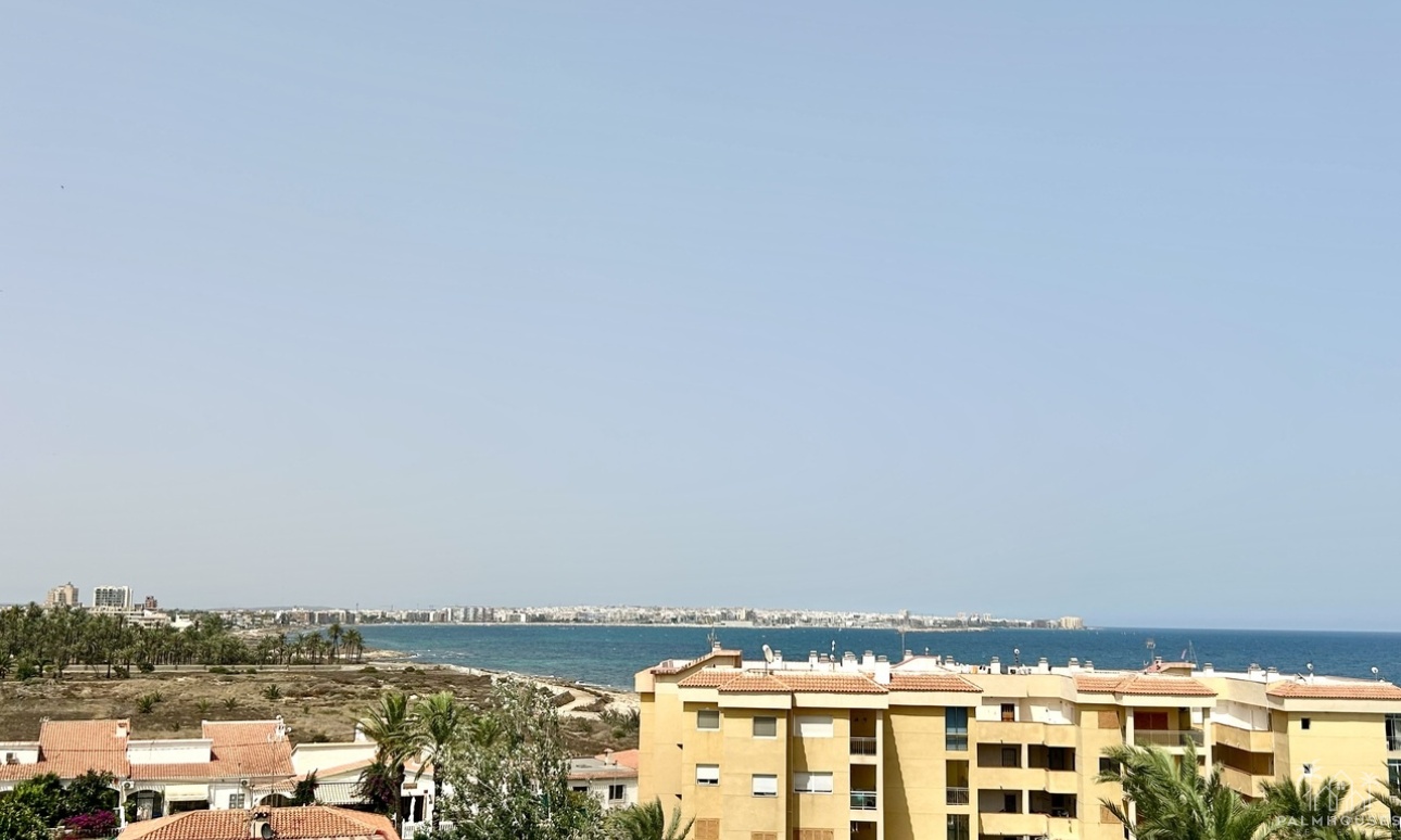 Herverkoop - Appartement - Punta Prima - Costa Blanca