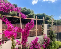 Herverkoop - Appartement - San Javier - Costa Calida
