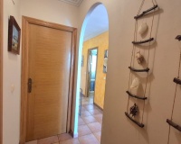 Herverkoop - Appartement - Torrevieja - Acequion