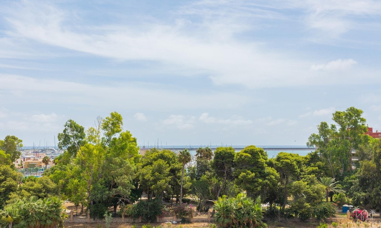 Herverkoop - Appartement - Torrevieja - Acequion