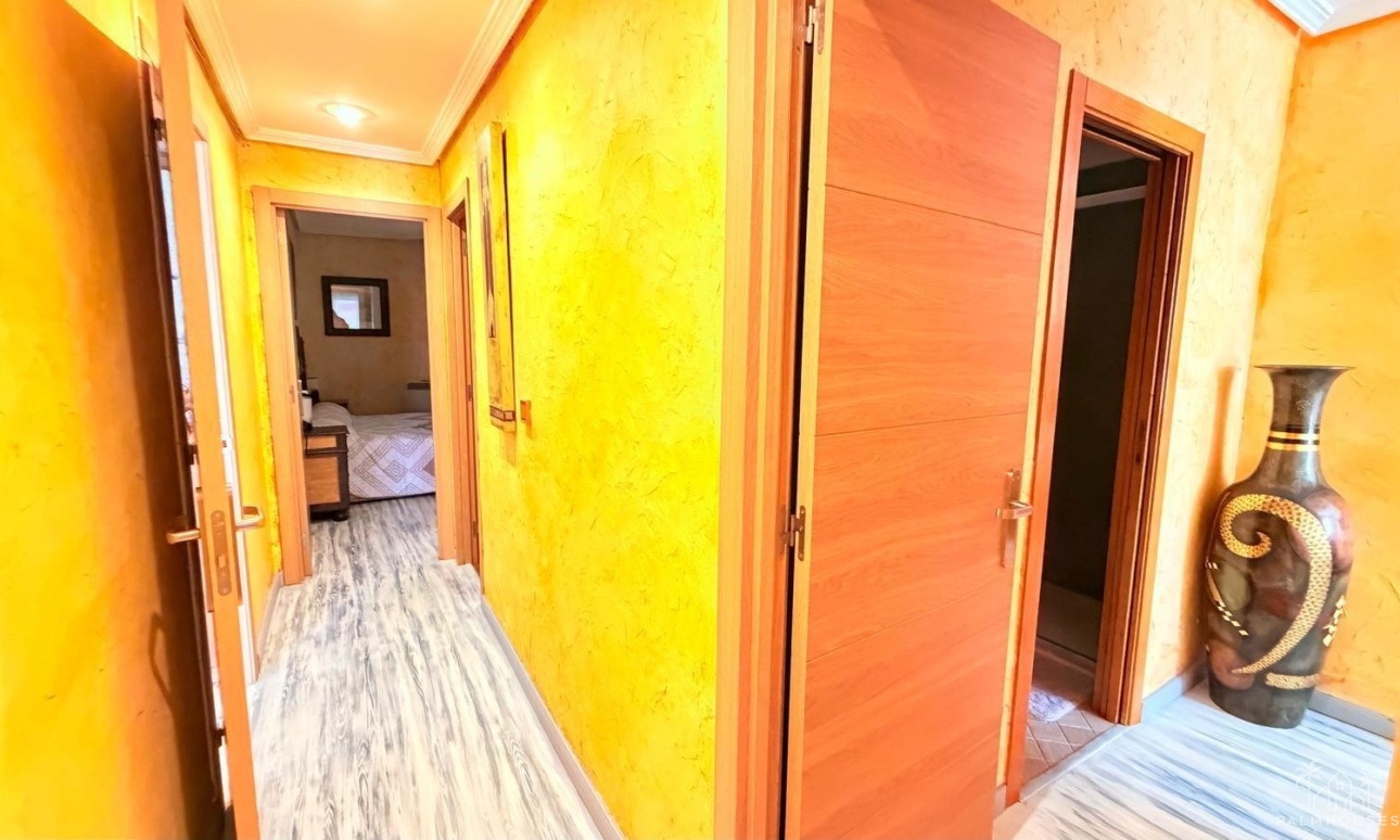 Herverkoop - Appartement - Torrevieja - Acequion
