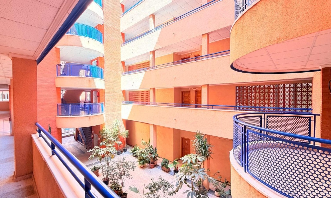 Herverkoop - Appartement - Torrevieja - Acequion