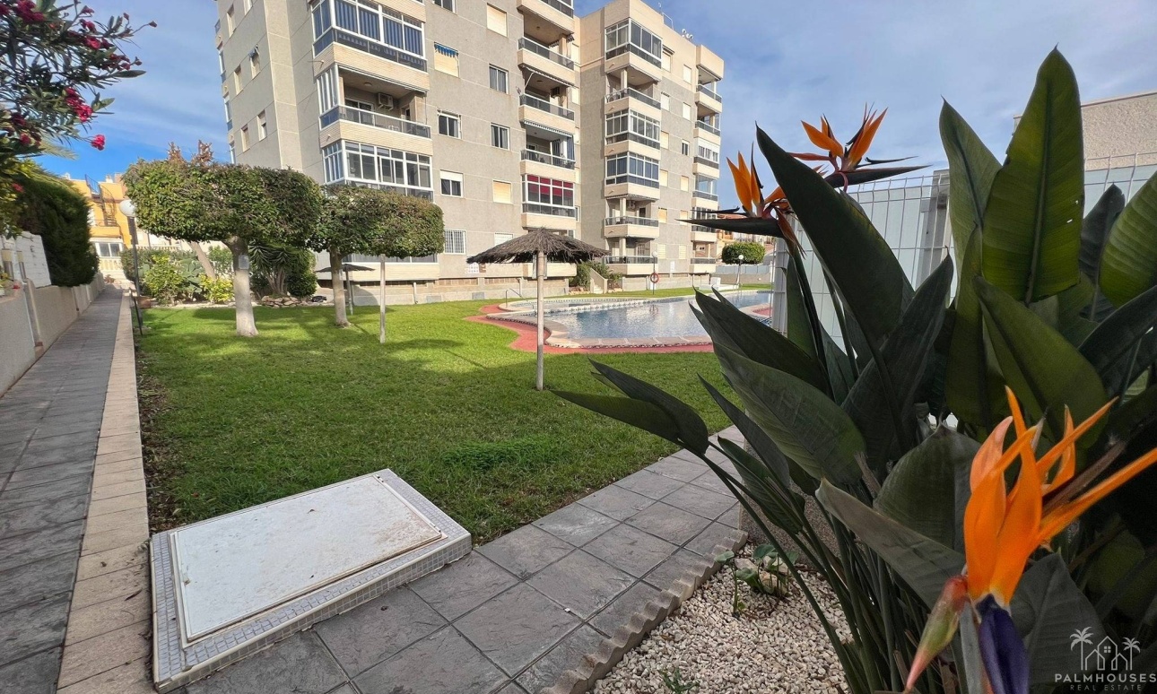 Herverkoop - Appartement - Torrevieja - Aguas Nuevas