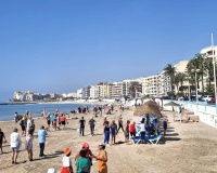 Herverkoop - Appartement - Torrevieja - Center