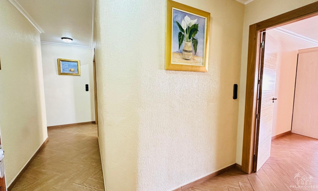 Herverkoop - Appartement - Torrevieja - Center