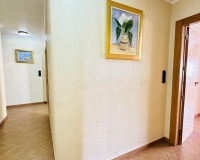 Herverkoop - Appartement - Torrevieja - Center