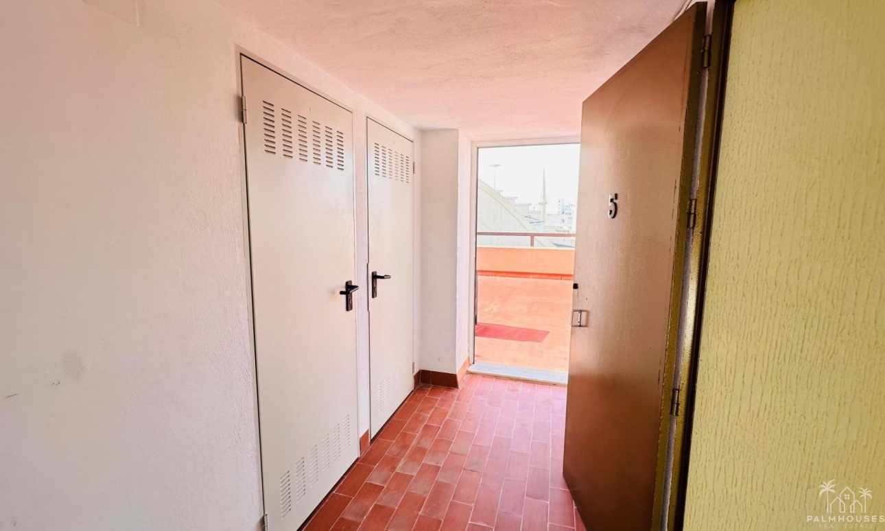 Herverkoop - Appartement - Torrevieja - Center