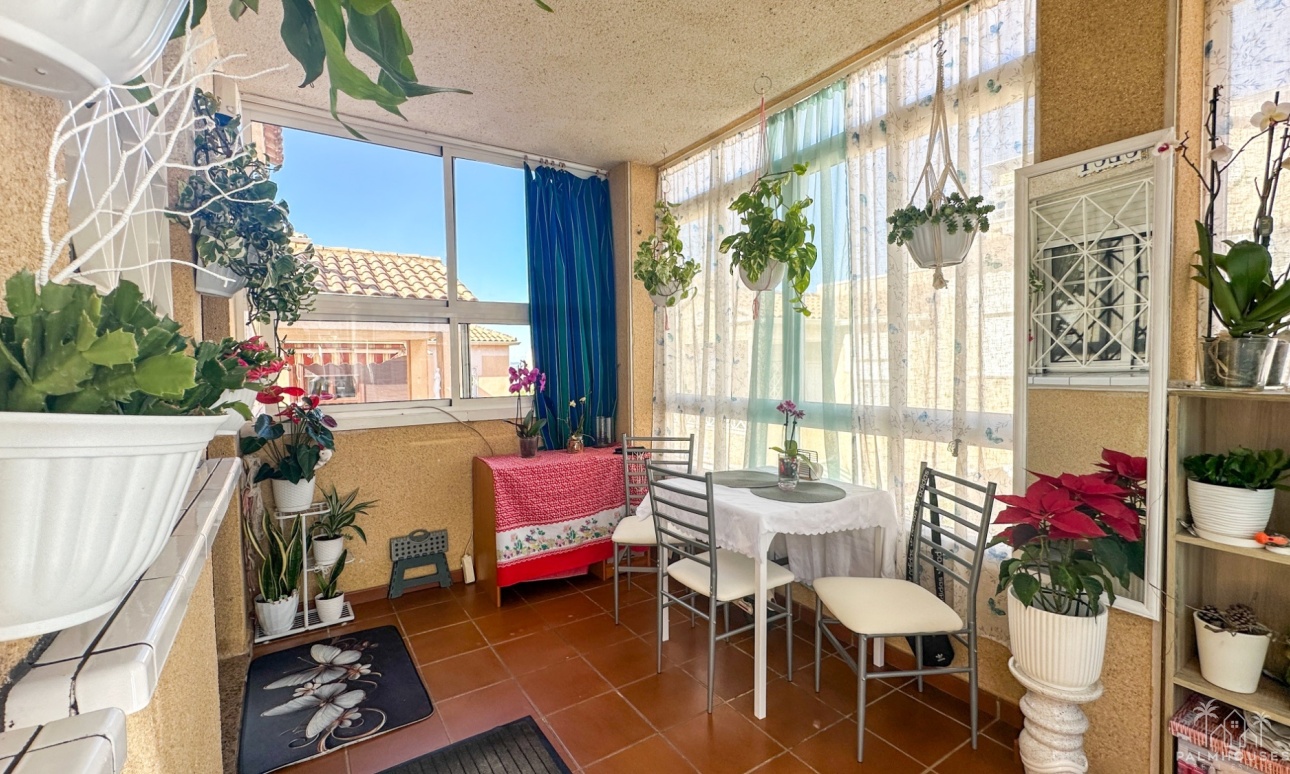 Herverkoop - Appartement - Torrevieja - Costa Blanca