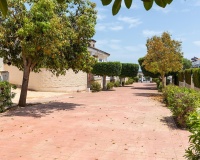 Herverkoop - Appartement - Torrevieja - La Mata