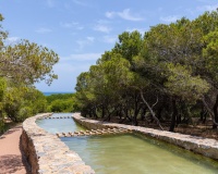 Herverkoop - Appartement - Torrevieja - La Mata