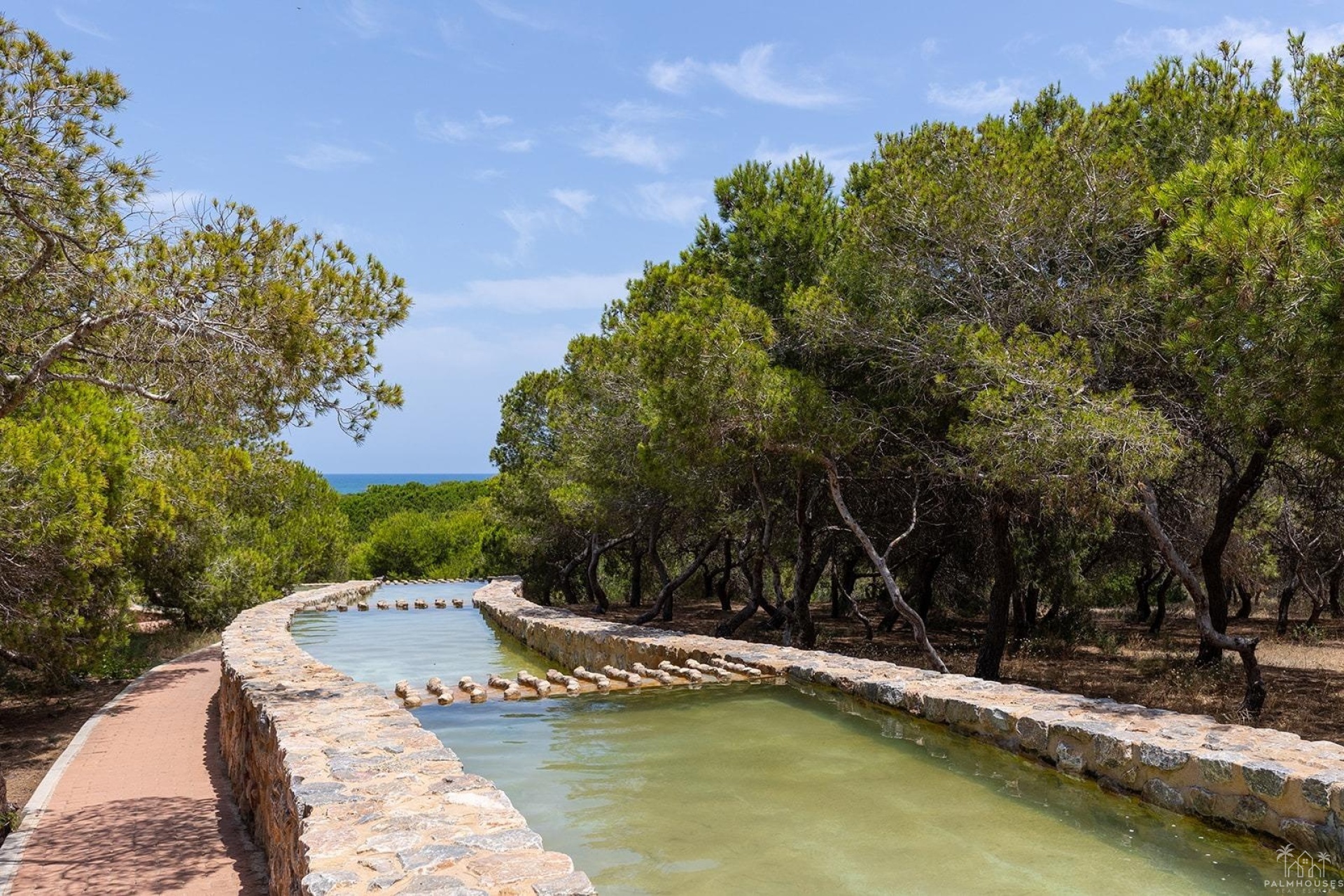 Herverkoop - Appartement - Torrevieja - La Mata