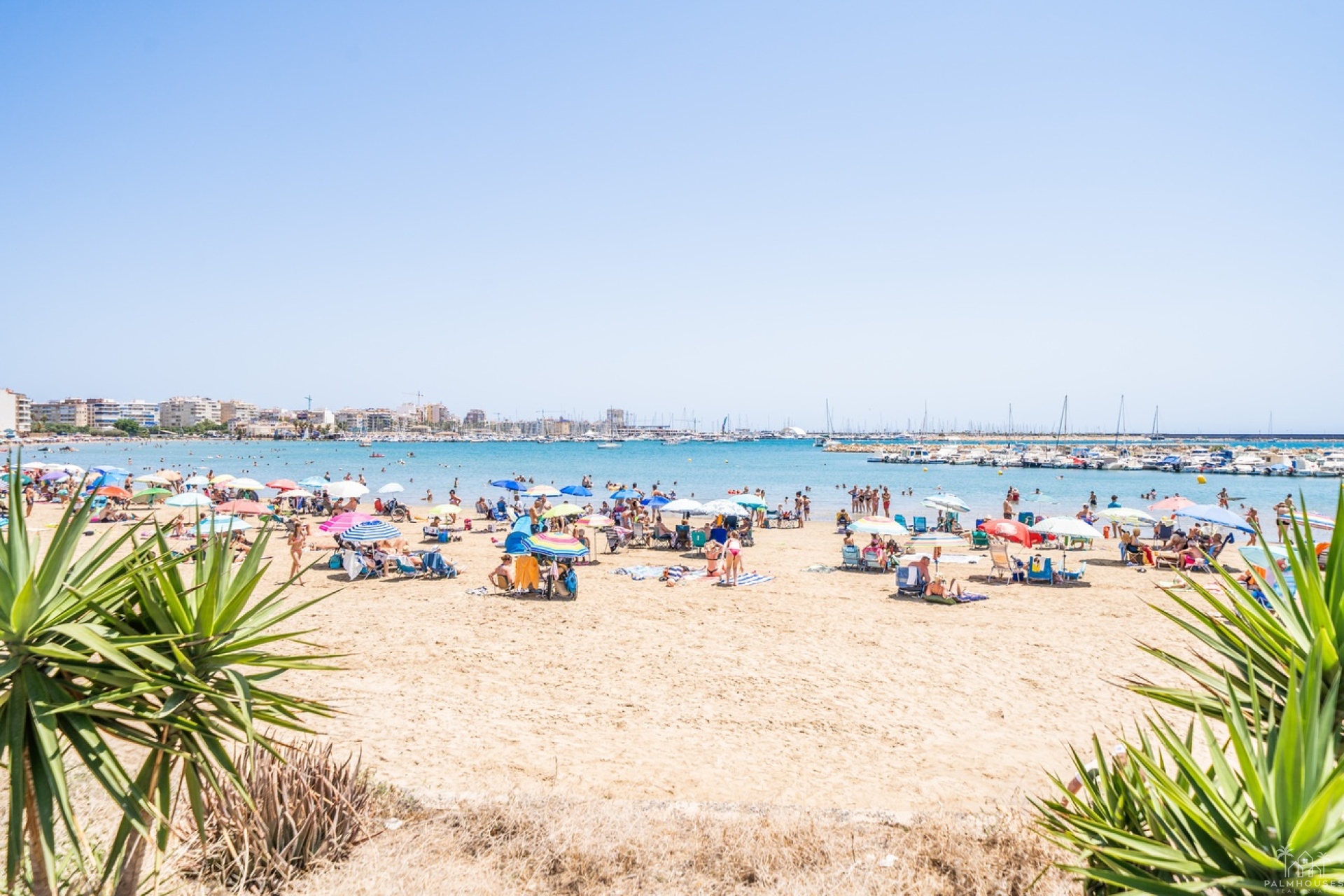Herverkoop - Appartement - Torrevieja - La Veleta