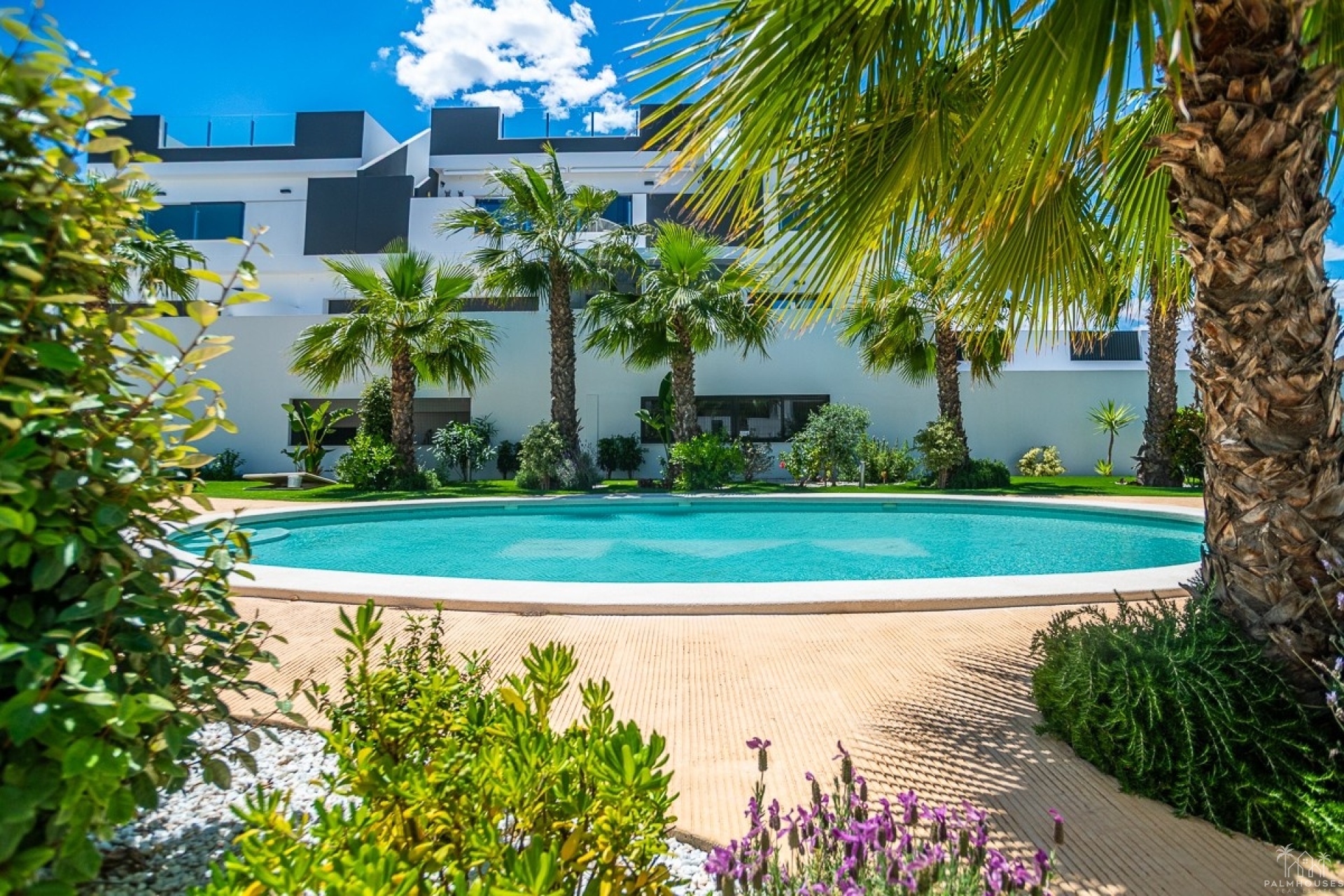 Herverkoop - Appartement - Torrevieja - Los Balcones