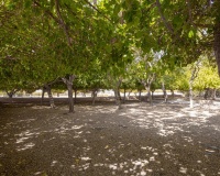 Herverkoop - Appartement - Torrevieja - Playa de los Naufragos