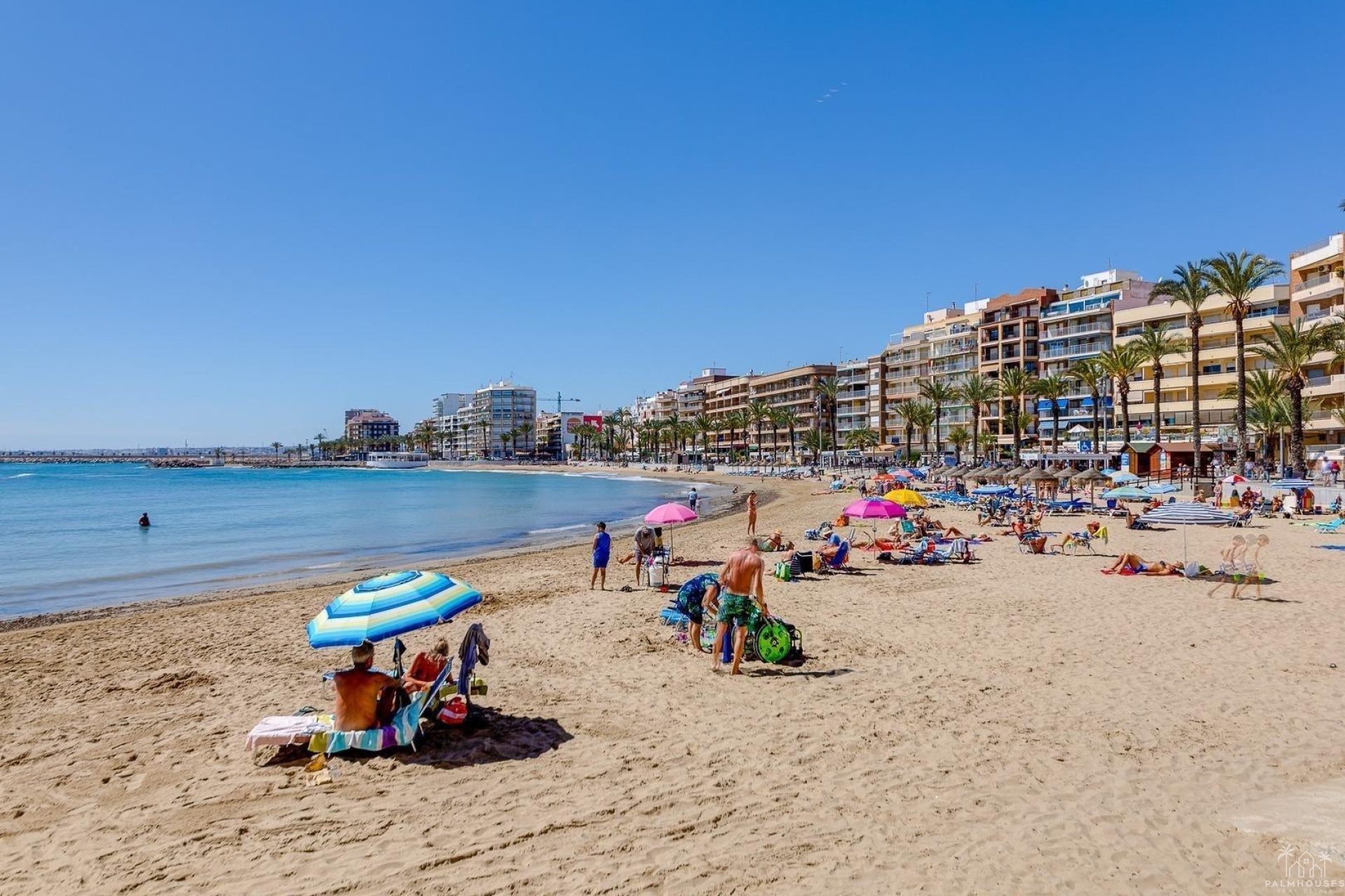 Herverkoop - Appartement - Torrevieja - Playa del cura