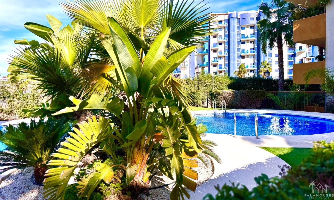 Herverkoop - Appartement - Torrevieja - Punta Prima