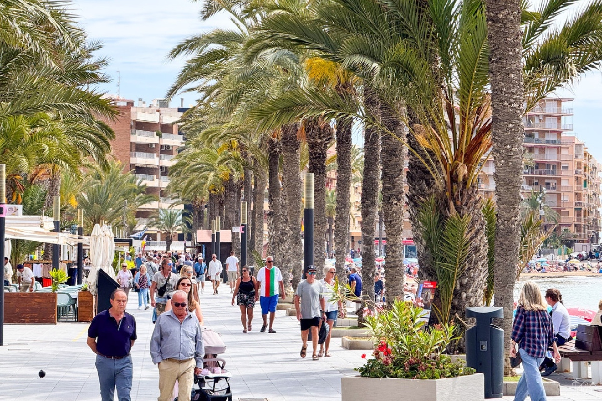 Herverkoop - Appartement - Torrevieja - Torrevieja Centro