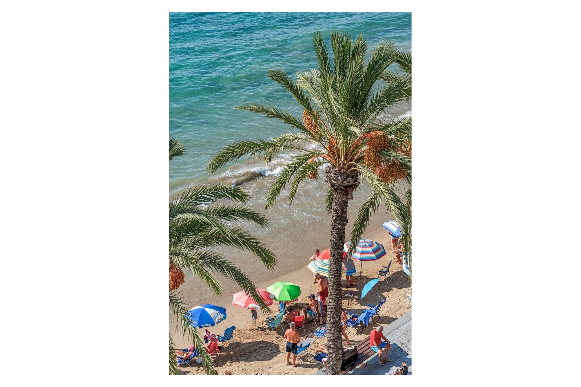 Herverkoop - Appartement - Torrevieja - Torrevieja Centro