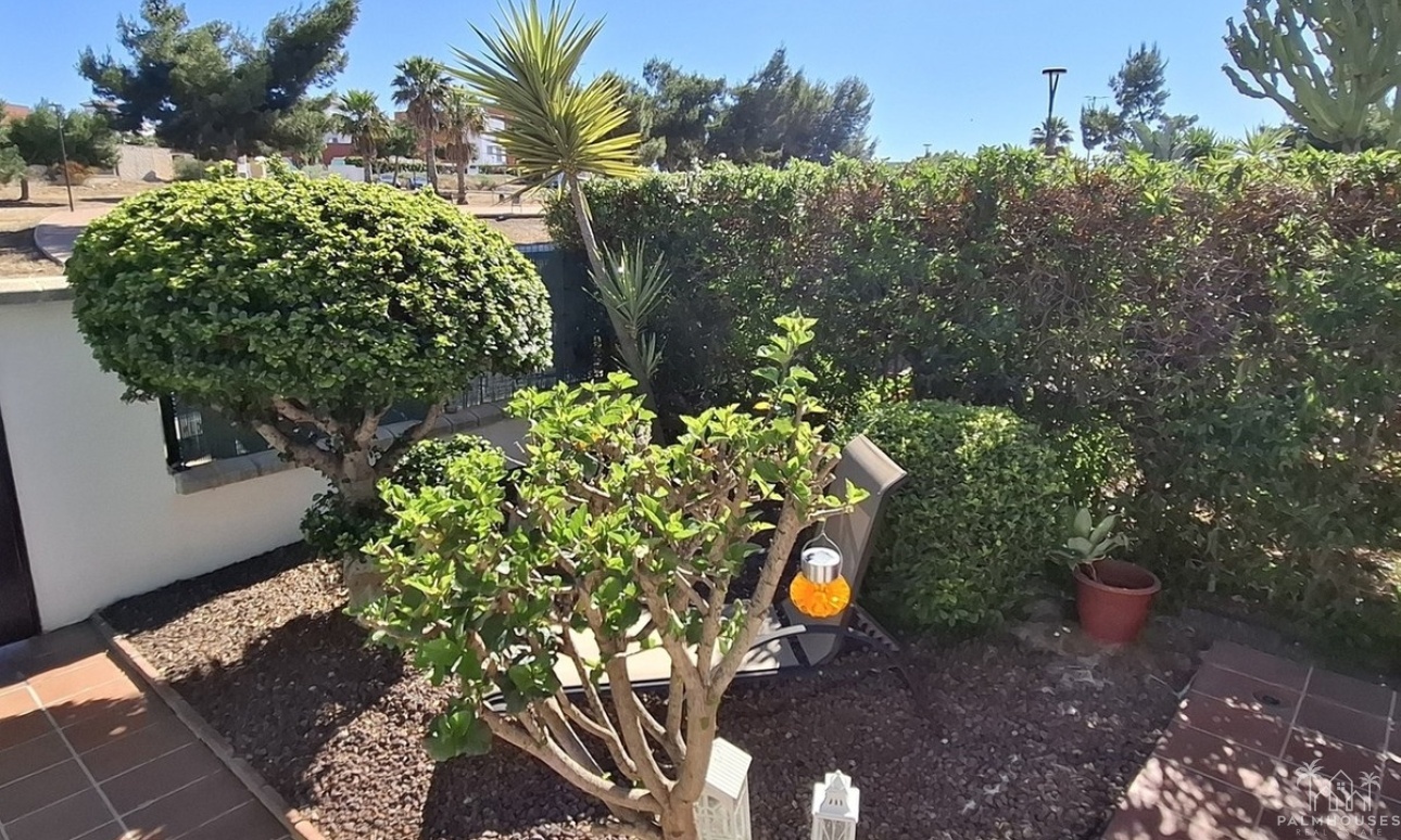 Herverkoop - Appartement - Vera Playa