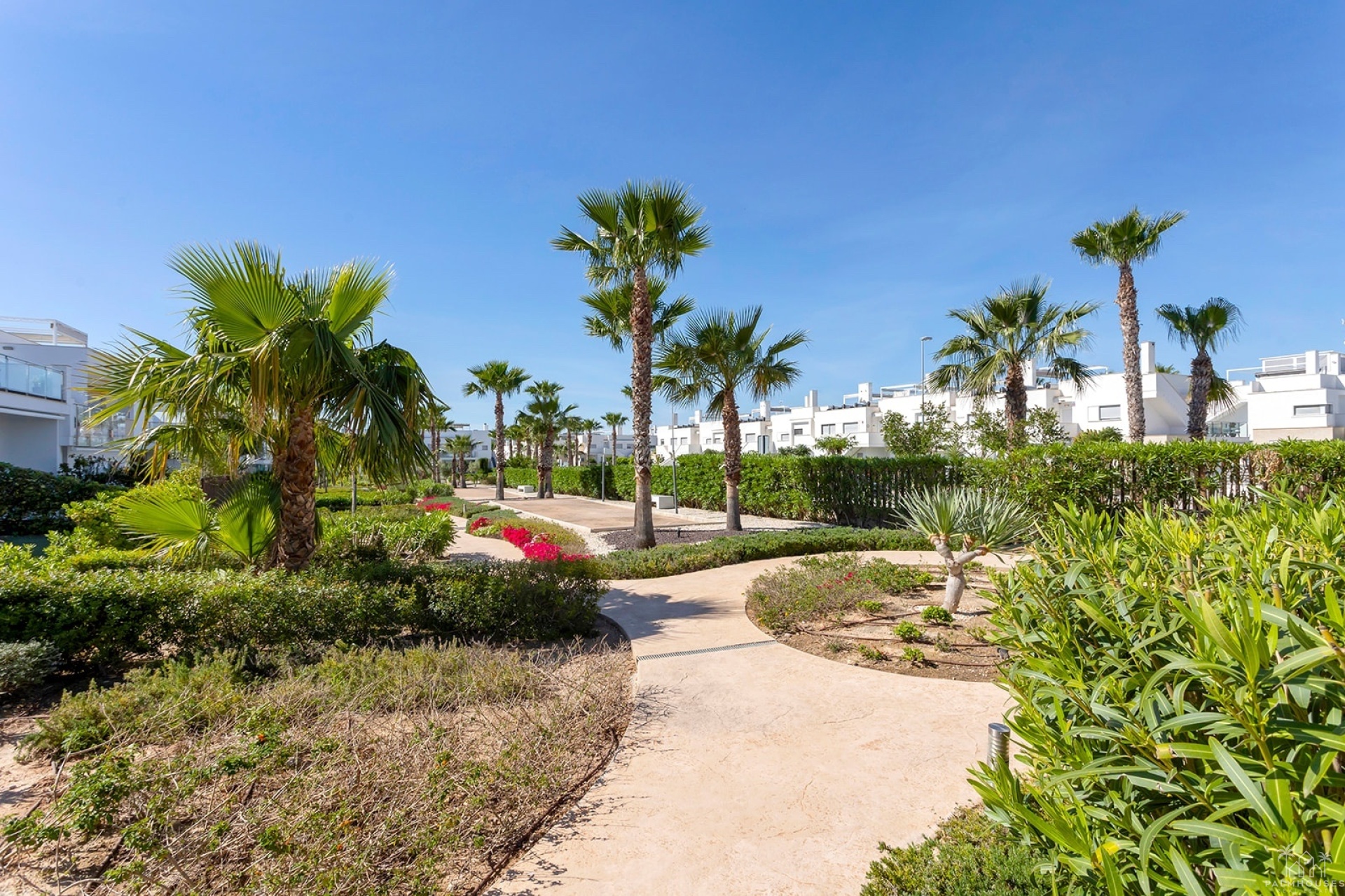 Herverkoop - Appartement - Vista Bella Golf - Vistabella Golf
