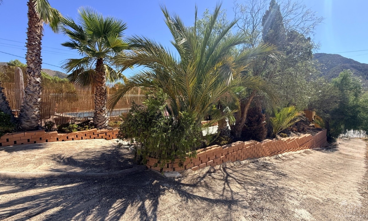 Herverkoop - Cave home - Algueña
