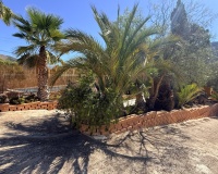 Herverkoop - Cave home - Algueña