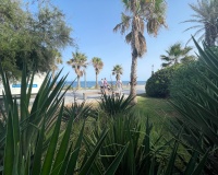 Herverkoop - Commercieel - Torrevieja - Comunidad Valenciana