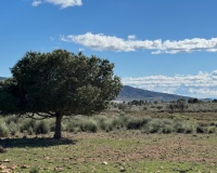 Herverkoop - Country house - Aledo - Aledo Centro