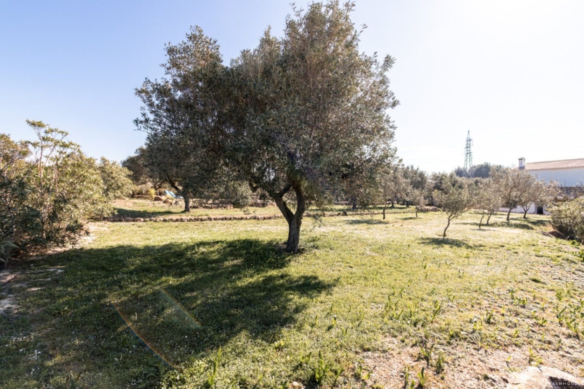 Herverkoop - Country house - Benissa - Canor