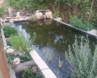 Herverkoop - Country house - Crevillente - Crevillent - Crevillente - Crevillent Centro