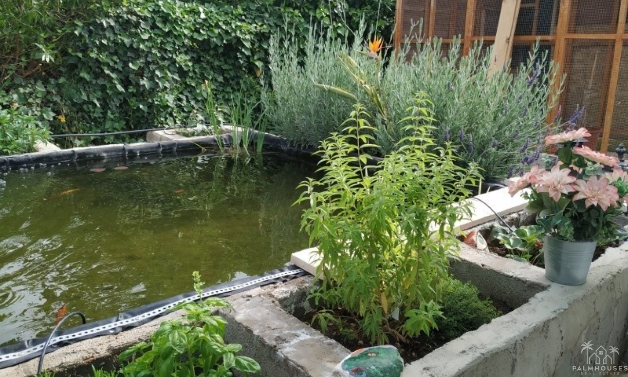 Herverkoop - Country house - Crevillente - Crevillent - Crevillente - Crevillent Centro