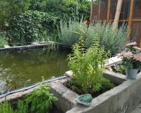 Herverkoop - Country house - Crevillente - Crevillent - Crevillente - Crevillent Centro