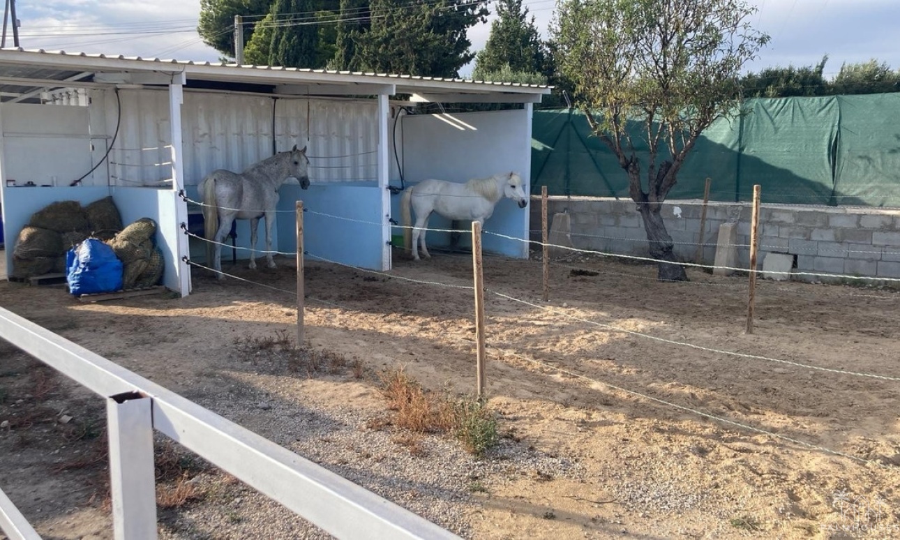 Herverkoop - Country house - Crevillente - Crevillent - Crevillente - Crevillent Centro