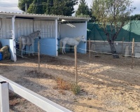 Herverkoop - Country house - Crevillente - Crevillent - Crevillente - Crevillent Centro