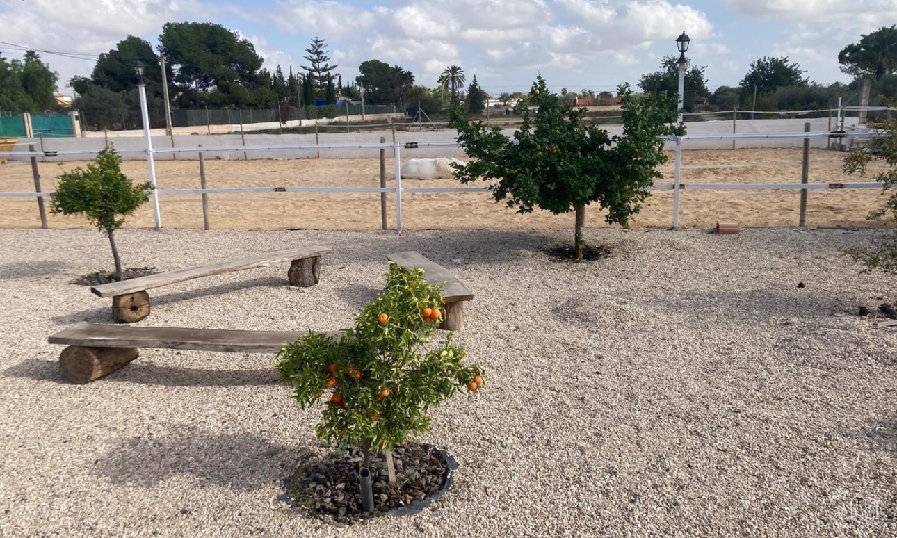 Herverkoop - Country house - Crevillente - Crevillent - Crevillente - Crevillent Centro