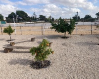 Herverkoop - Country house - Crevillente - Crevillent - Crevillente - Crevillent Centro