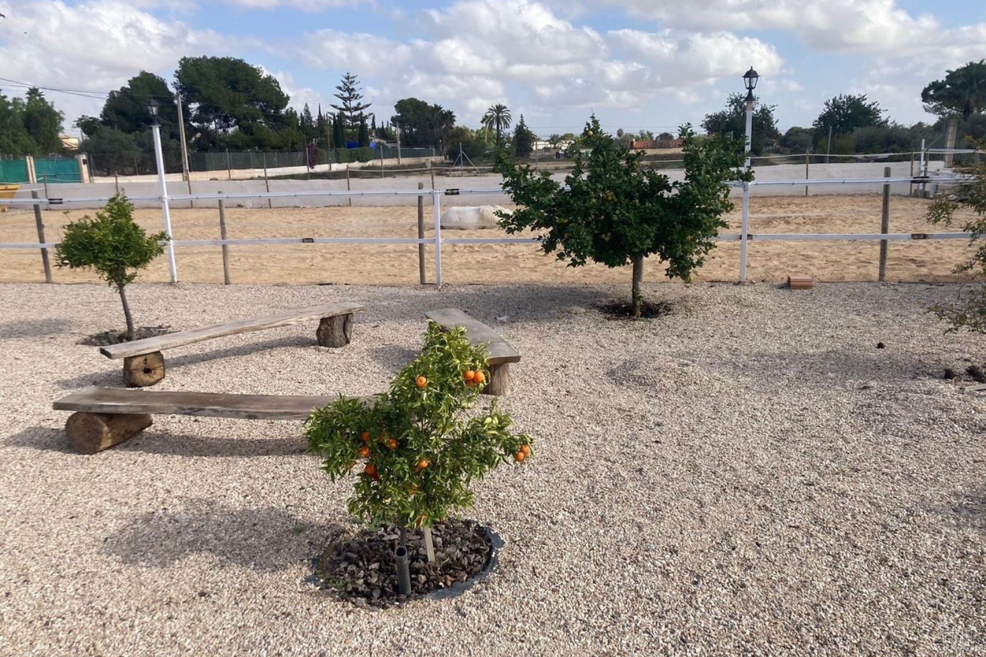 Herverkoop - Country house - Crevillente - Crevillent - Crevillente - Crevillent Centro