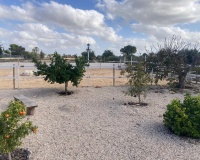 Herverkoop - Country house - Crevillente - Crevillent - Crevillente - Crevillent Centro