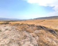 Herverkoop - Country house - Jumilla - Jumilla Centro