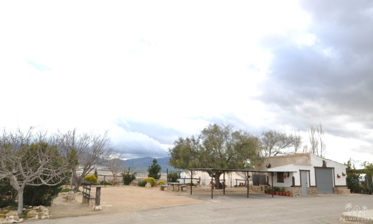 Herverkoop - Country house - Jumilla - Jumilla Centro